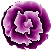 Rosenbl�te