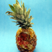 ananas