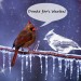 vogeltreue