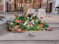 Foto-Wettbewerb im Oktober in der GIMP-Werkstatt Platz 1 von Enzo Lambrusco