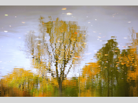 Foto-Wettbewerb im Oktober in der GIMP-Werkstatt Platz 1 von Stift