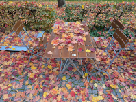 Foto-Wettbewerb im Oktober in der GIMP-Werkstatt Platz 2 von Enzo Lambrusco