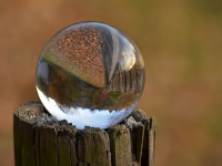 Foto-Wettbewerb im Oktober in der GIMP-Werkstatt Platz 3 von Alias Grace 2.0