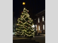 Foto-Wettbewerb im Dezember in der GIMP-Werkstatt Platz 2 von Schimmeline