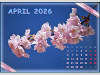 Werkstattbild-Wettbewerb Platz 3 im Dezember von Stift