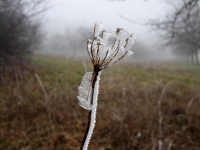 Foto-Wettbewerb im Januar in der GIMP-Werkstatt Platz 3 von Schimmeline