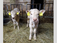 Foto-Wettbewerb im Februar in der GIMP-Werkstatt Platz 1 von schimmeline