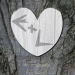 Baum