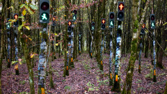 Ampelwald