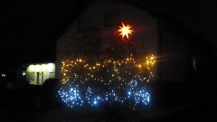Lichterbusch