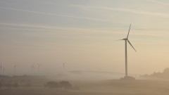 Morgennebel