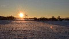 Licht