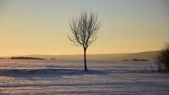 Winter2
