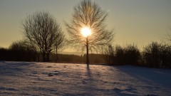 Winter4