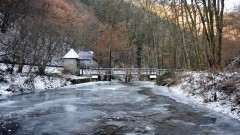 Winter