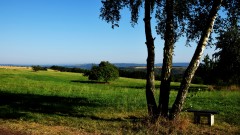 Baum3