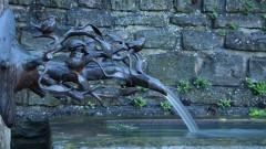 Wasser8
