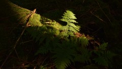 Wochenende4