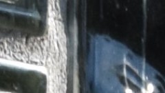 waswohl