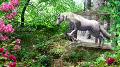 Einhorn