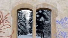 Fenster