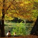 herbstliches