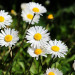 Frühling