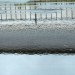 Wasser