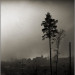 2013-02-44-0800