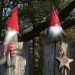 20221119-Zwerge-1-800-f4-5-200-12-54mm-1024a1