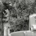 20191102_Halter_Muelleimer_SX730HS_0880a2