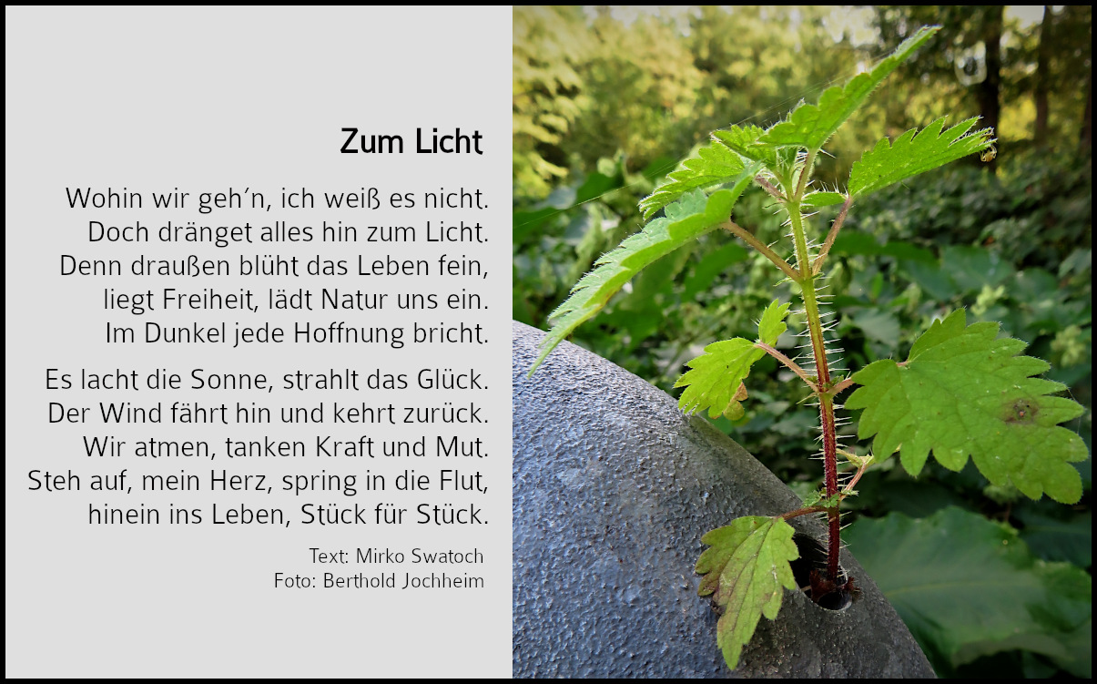 Bild