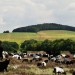 Bildgeschichte - Stoppelfeld