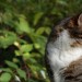 Foto ABC - W wie Wohin guckst Du?