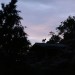 Foto-Wettbewerb - Bewegung