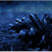 Werkstattwettbewerb Blau - Blaue Impression