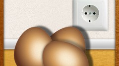 Eier