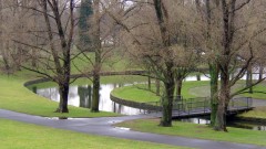 Rheinaue-01