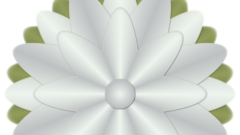 Pinselbluete_02