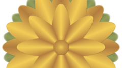 Pinselbluete_03
