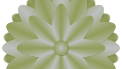 Pinselbluete_04