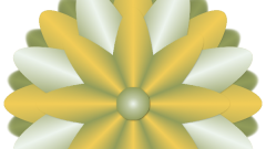 Pinselbluete_06