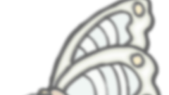 Schmetterling_01_farbig_Schatten