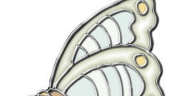 Schmetterling_01_farbig