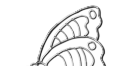 Schmetterling_01