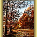 Entstanden aus https://commons.wikimedia.org/wiki/File:Roadway_in_David_Crockett_State_Park_(Autumn_2008_-_Vertical_Image).jpg