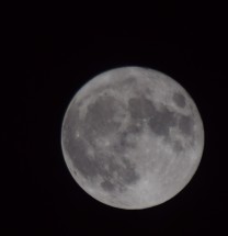 DSC_0003_k