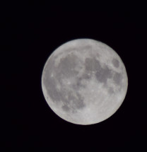 Vollmond