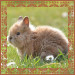 easter-g507aae43a_640