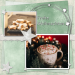 2-advent